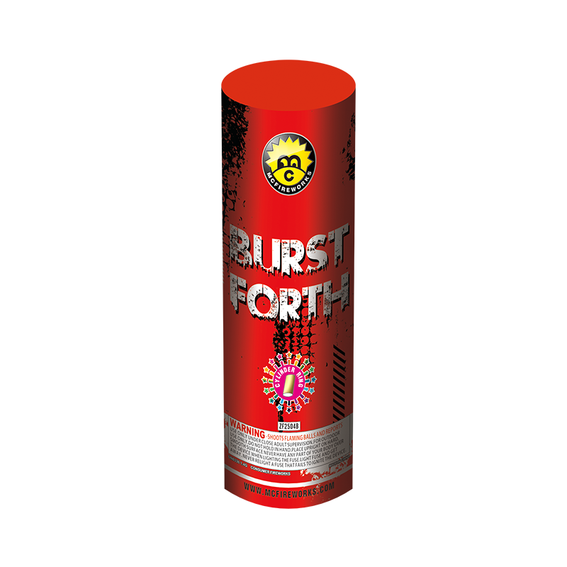 Burnește coajă de cilindru unic zf2504b